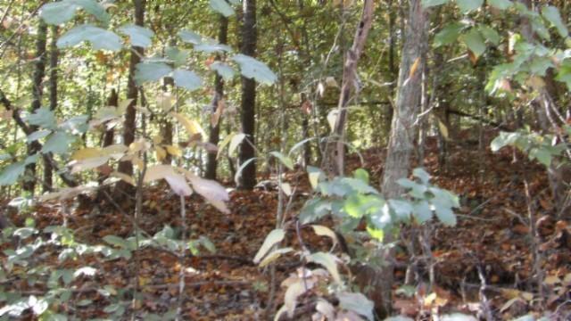 0 Moss Arcot Rd, Celina, TN 38551