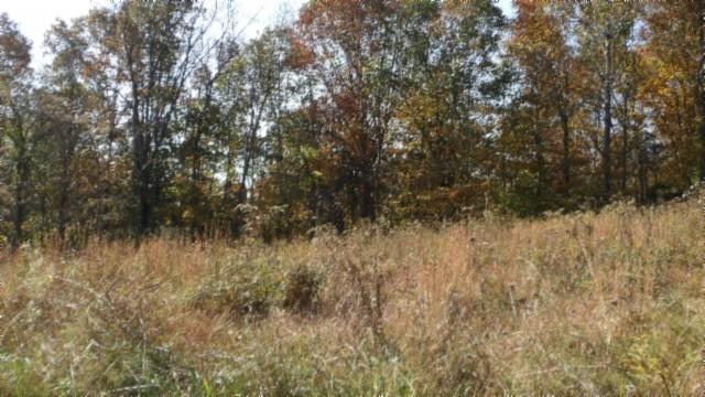 0 Moss Arcot Rd, Celina, TN 38551