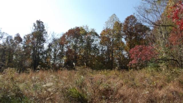 0 Moss Arcot Rd, Celina, TN 38551