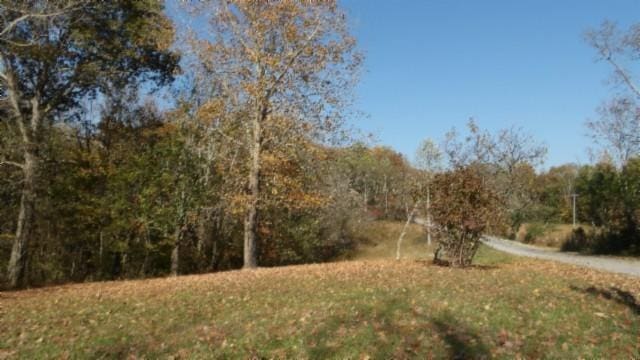 0 Moss Arcot Rd, Celina, TN 38551