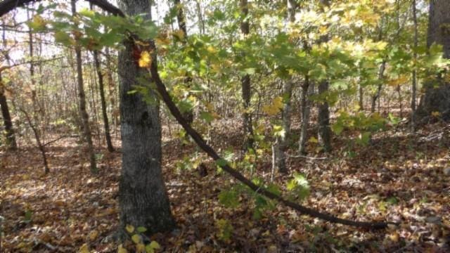 0 Moss Arcot Rd, Celina, TN 38551