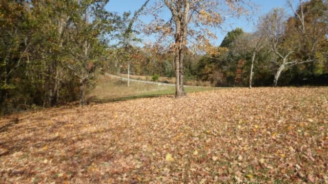 0 Moss Arcot Rd, Celina, TN 38551