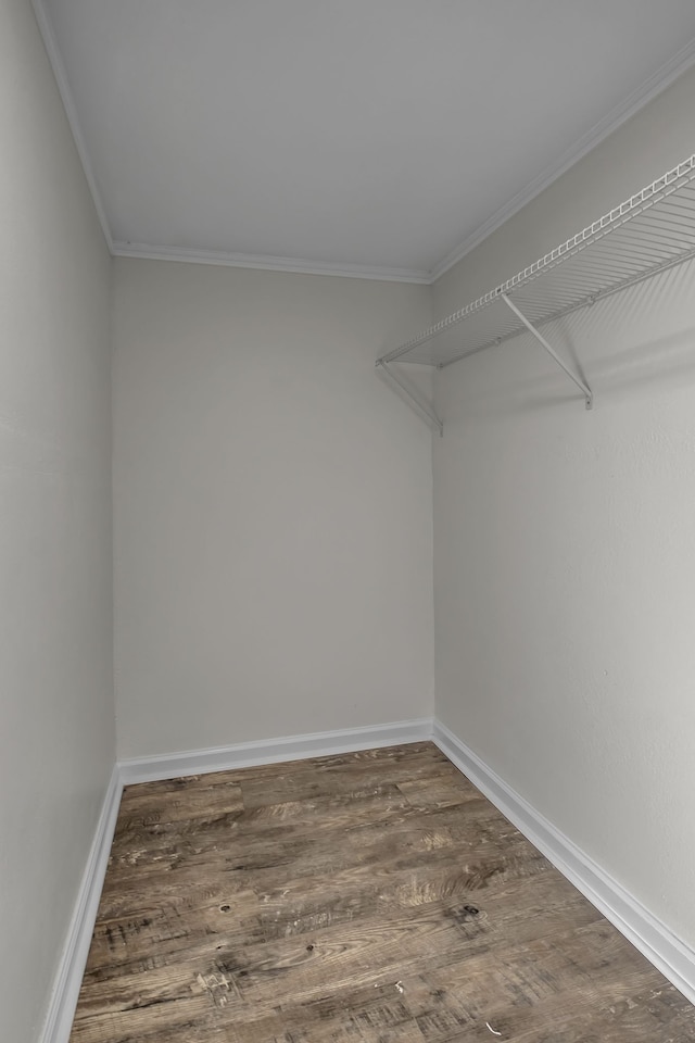 walk in closet with dark hardwood / wood-style flooring