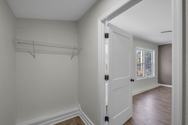 interior space featuring dark hardwood / wood-style floors