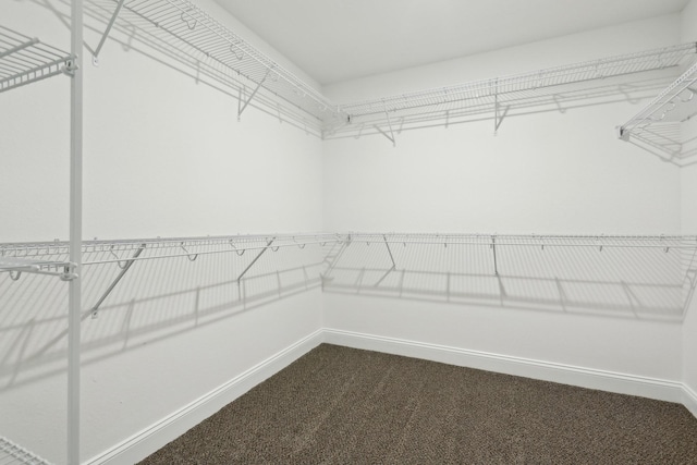 walk in closet with dark carpet