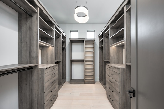 spacious closet featuring light hardwood / wood-style flooring