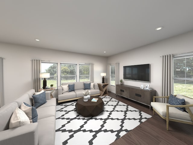 living room featuring dark hardwood / wood-style flooring