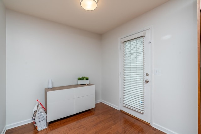 foyer with wood-type flooring