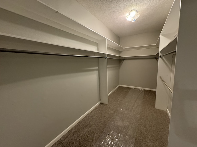 walk in closet featuring dark carpet