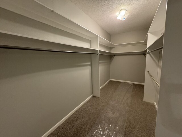 2523 Syon Dr, Memphis, TN 38119 - photo 42