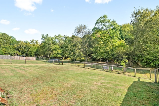 view of yard with a rural view