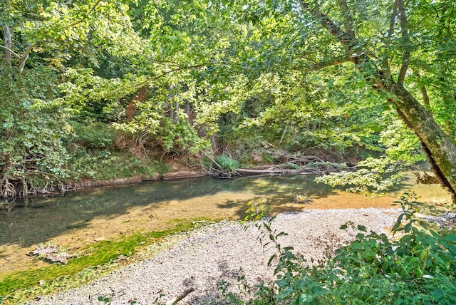 view of yard with a water view