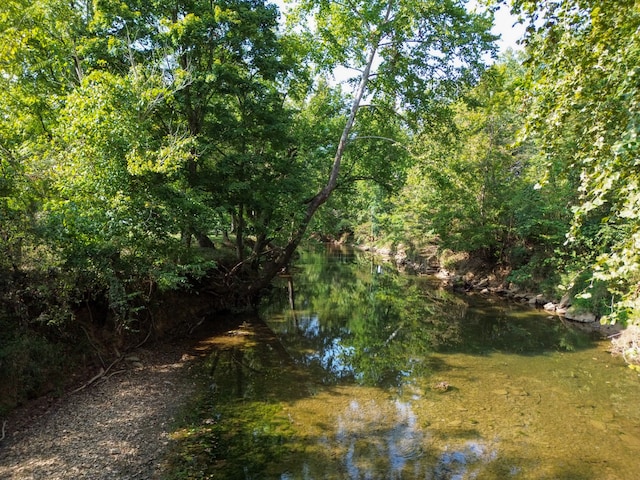 view of nature featuring a water view