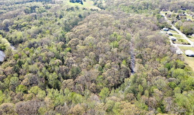 0 Palmer Rd, Camden, TN 38320