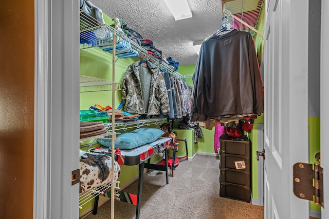 walk in closet featuring carpet flooring