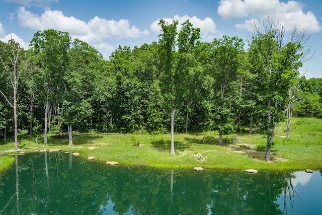 view of local wilderness featuring a water view