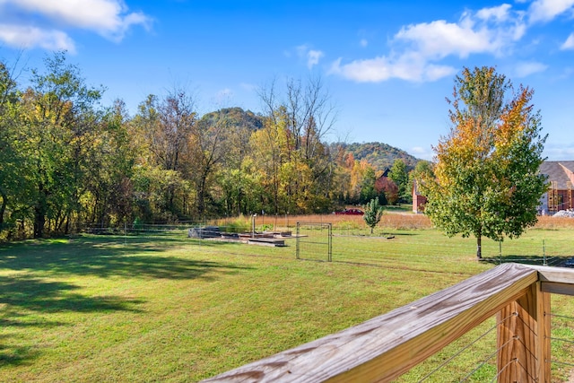 view of yard with a rural view