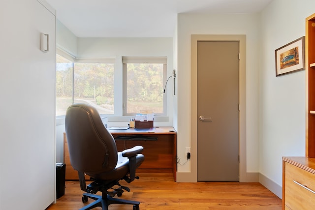 home office featuring light wood-type flooring