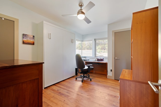 office featuring light hardwood / wood-style floors and ceiling fan