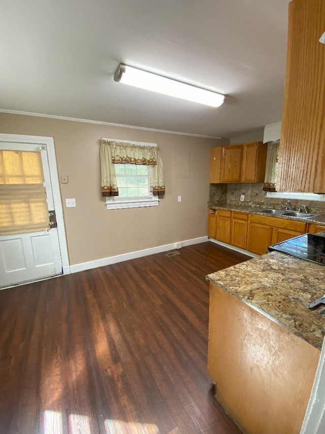 kitchen with tasteful backsplash, sink, dark wood-type flooring, light stone counters, and ornamental molding