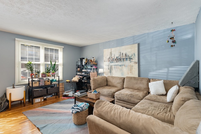 living room with a textured ceiling and hardwood / wood-style floors