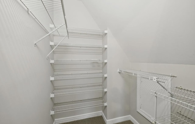 walk in closet with carpet flooring