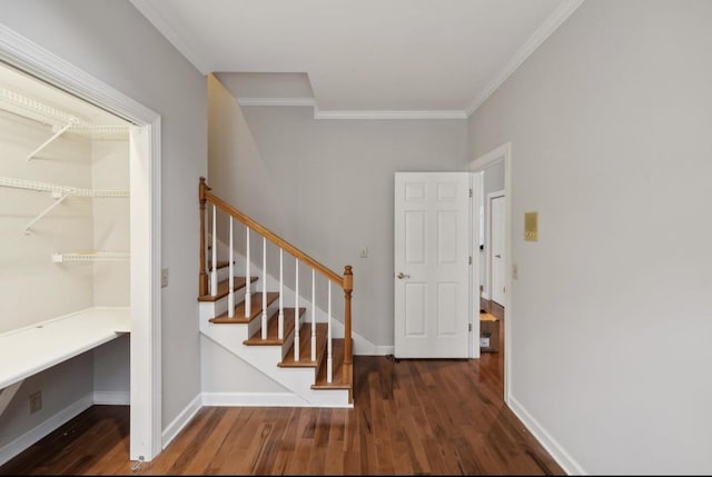 stairs with hardwood / wood-style flooring and ornamental molding