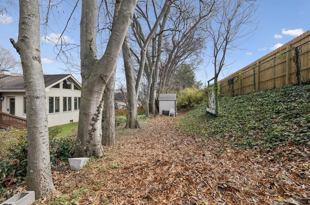 view of yard featuring a storage shed