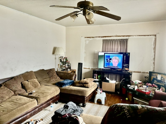 living room with ceiling fan and hardwood / wood-style flooring