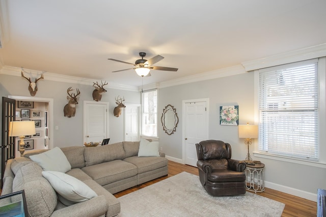 living room with ceiling fan, crown molding, and hardwood / wood-style flooring