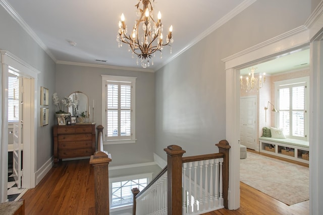 hallway featuring plenty of natural light, a chandelier, crown molding, and hardwood / wood-style floors