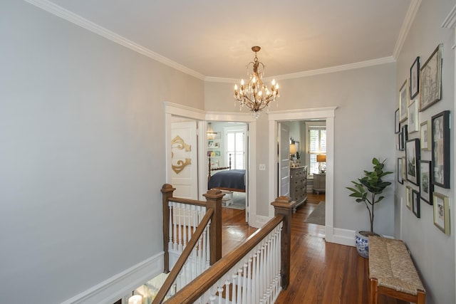 hallway featuring dark wood-type flooring, a chandelier, and crown molding