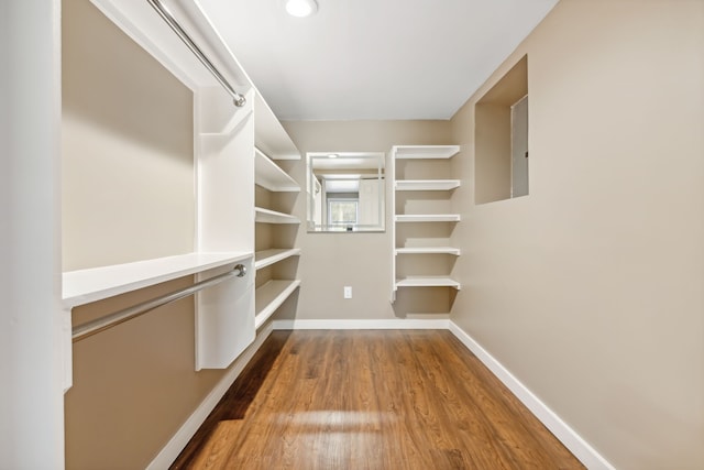 spacious closet featuring wood-type flooring