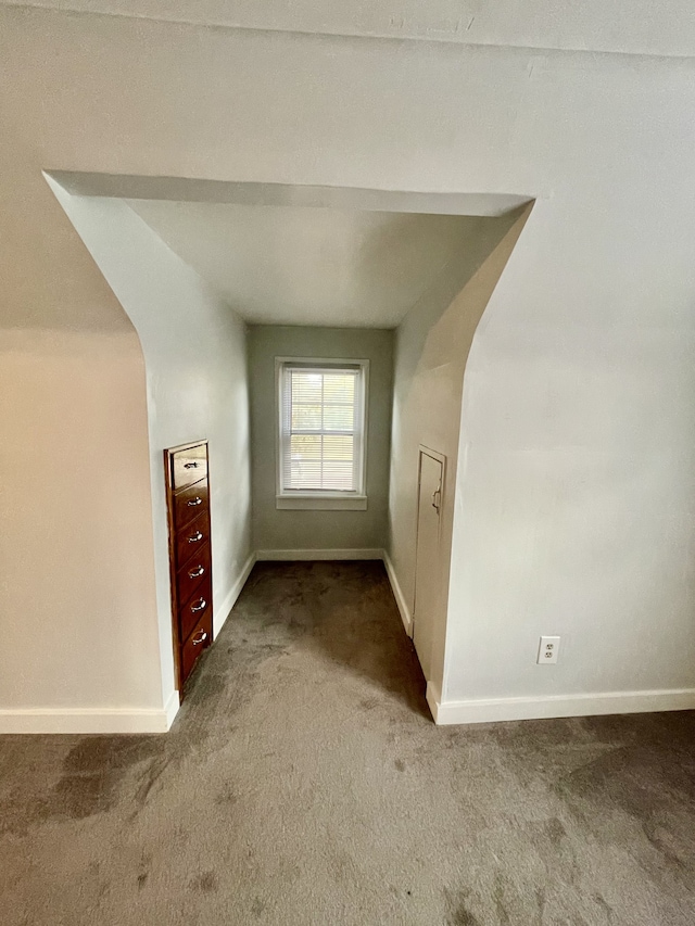 bonus room featuring carpet and vaulted ceiling