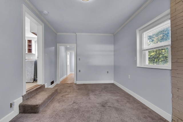 carpeted spare room featuring crown molding