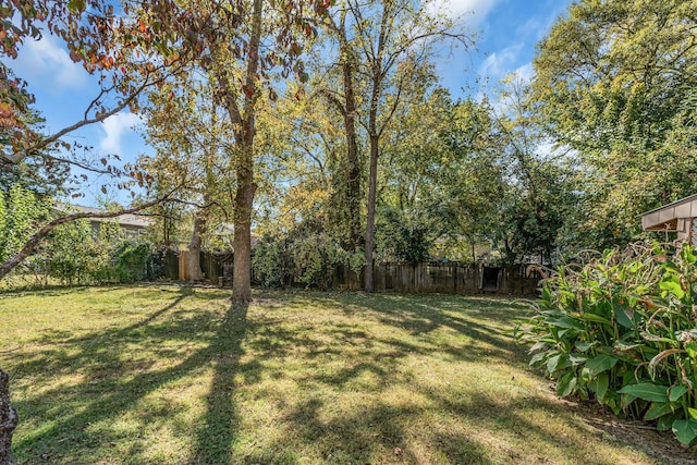 707 Lynn St, Murfreesboro, TN 37129 - photo 7