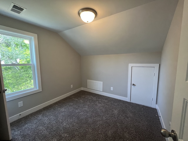 additional living space with dark carpet, lofted ceiling, and a healthy amount of sunlight