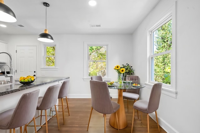 dining room with dark wood-type flooring and a wealth of natural light