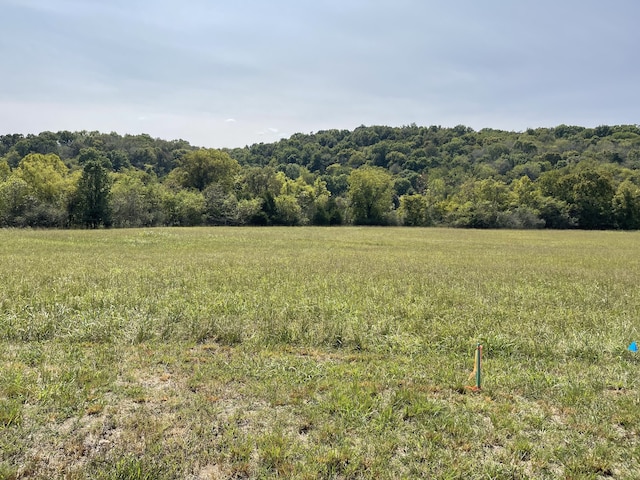 2 Haywood Creek Rd, Pulaski TN, 38478 land for sale