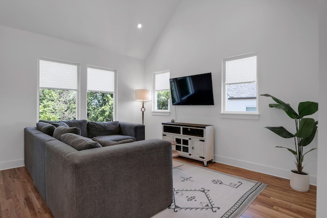 living room featuring hardwood / wood-style flooring and high vaulted ceiling