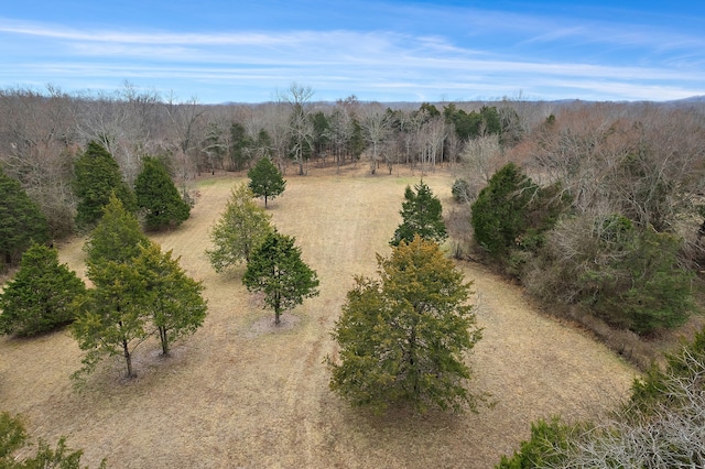 0 Lasea Rd, Spring Hill TN, 37174 land for sale