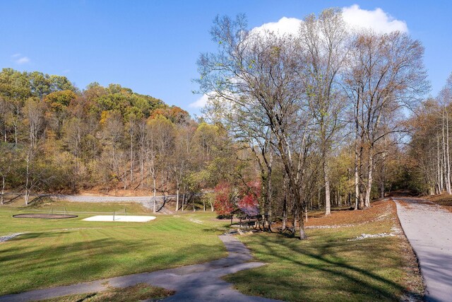 71 Baymont Dr, Lancaster, TN 38569 - photo 18