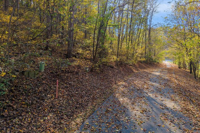 71 Baymont Dr, Lancaster, TN 38569 - photo 12