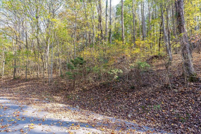 71 Baymont Dr, Lancaster, TN 38569 - photo 9