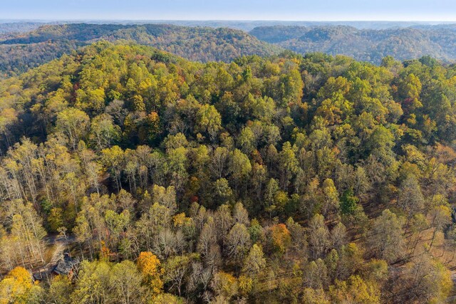 71 Baymont Dr, Lancaster, TN 38569 - photo 14