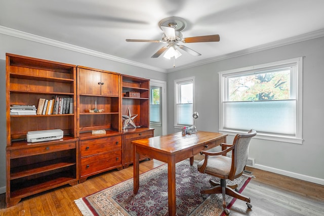 office space featuring light hardwood / wood-style flooring, ornamental molding, and ceiling fan