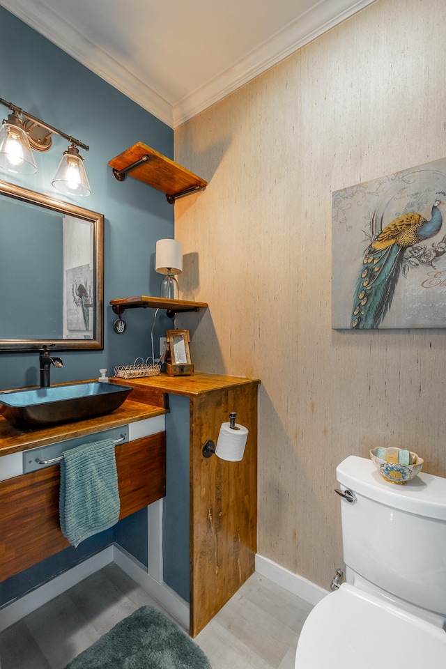 bathroom featuring vanity, toilet, and ornamental molding