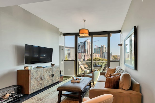 living room featuring a wall of windows, hardwood / wood-style floors, and a healthy amount of sunlight