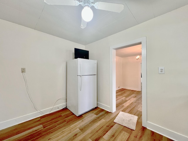 kitchen with white fridge, light hardwood / wood-style floors, and ceiling fan