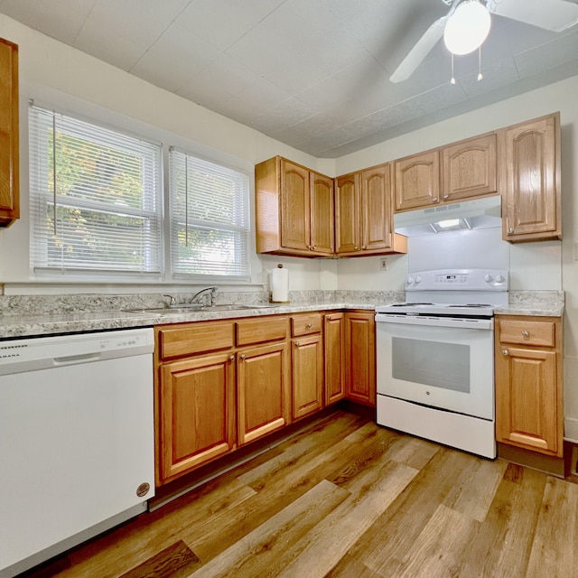 kitchen featuring light hardwood / wood-style flooring, ceiling fan, sink, and white appliances